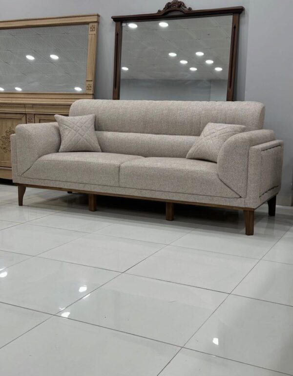Elegant Grey Modern Sofa Set